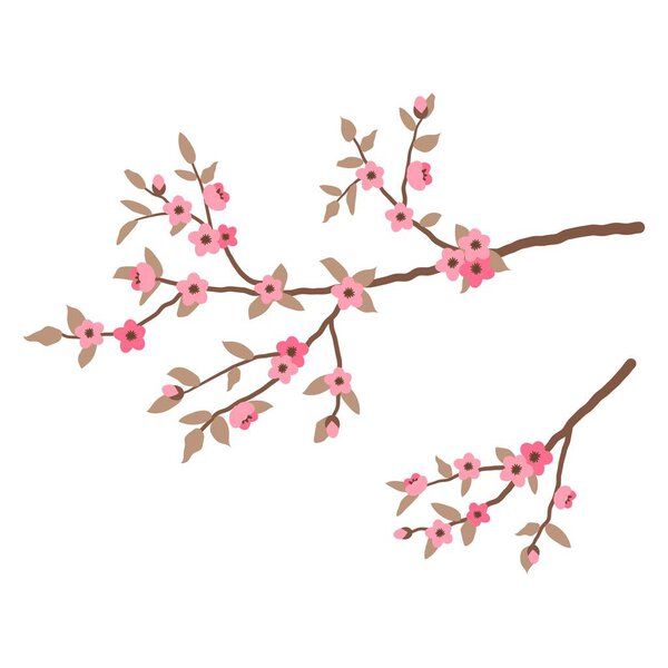 Ветка дерева с розовыми цветами и листьями
