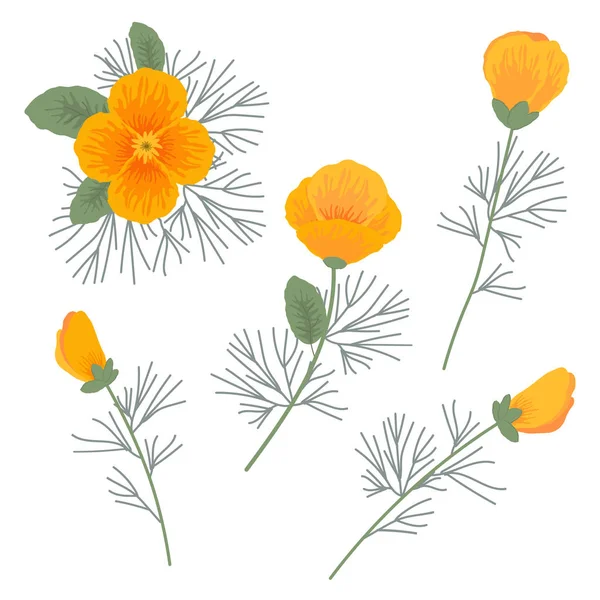 Flores anaranjadas y amarillas sobre fondo blanco — Vector de stock