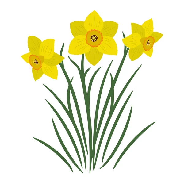 Μπουκέτο Κίτρινα Daffodils Λευκό Φόντο Μπορεί Χρησιμοποιηθεί Ένα Στοιχείο Του — Διανυσματικό Αρχείο