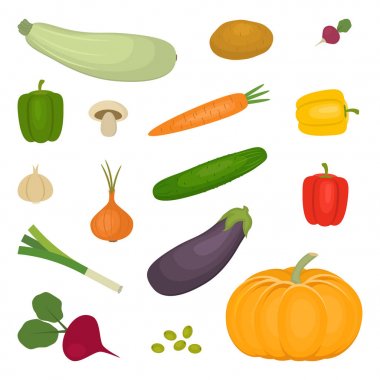 Sebze, beyaz bir arka plan üzerinde izole kümesi. Bir patates, kabak, patlıcan, salatalık, soğan, kabak, mantar, havuç, pancar, tatlı biber, turp resimdeki vardır. Vektör çizim.