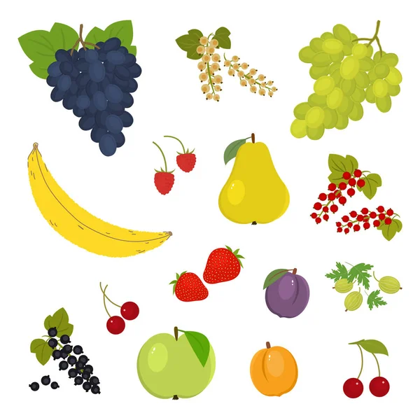 Set Fruits Berries White Background Grapes Apple Pear Banana Apricot — Stock Vector