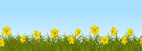 Amarelo Narcisos Grama Verde Fundo Céu Azul Fronteira Flores Primavera —  Vetores de Stock