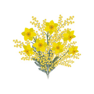Daffodills ve beyaz zemin üzerine Mimoza buket. Sarı çiçekler bahar. Çiçek kompozisyon. Vektör çizim.