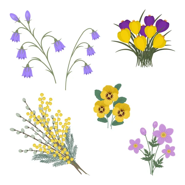 Bahar Çiçekleri Beyaz Bir Arka Plan Üzerinde Kümesi Mimoza Söğüt — Stok Vektör