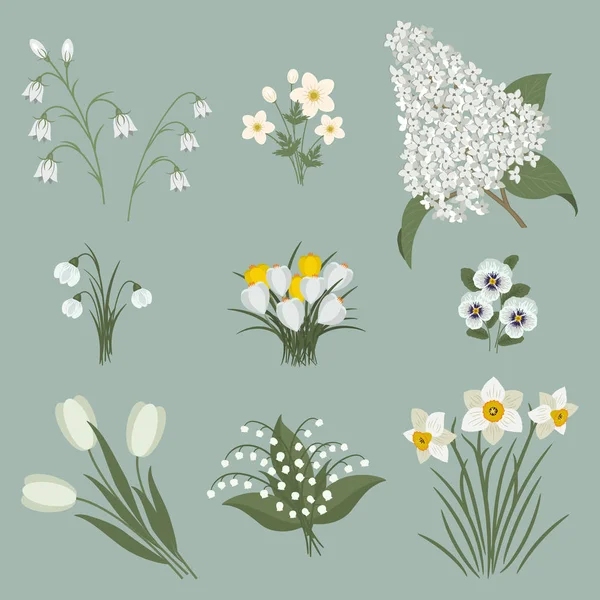 Collection White Flowers Gray Background Tulips Snowdrops Lilies Valley Bells — Stock Vector