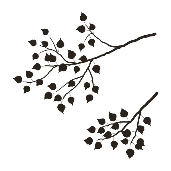 Silhouette Une Branche Arbre Sur Fond Blanc Une Branche Bouleau — Image vectorielle