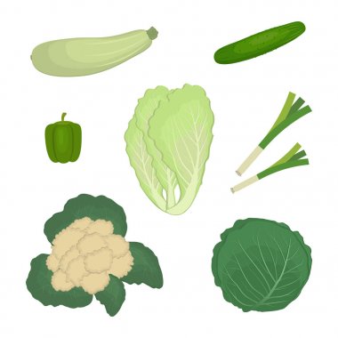 Yeşil sebzeler, beyaz bir arka plan üzerinde izole kümesi. Bir kabak, salatalık, soğan, biber, lahana, karnabahar, Çin lahanası resmi vardır. Gıda simgeler. Vektör çizim.