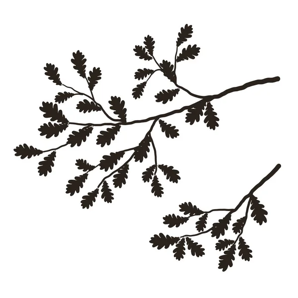 Silhouette Une Branche Arbre Sur Fond Blanc Une Branche Chêne — Image vectorielle