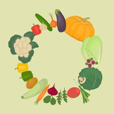 Yuvarlak kare sebze. Kabak, patlıcan, kabak, salatalık, patates, havuç, lahana, pancar, soğan, biber, sarımsak ve turp resmi vardır. Vektör çizim