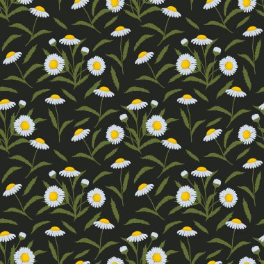 Seamless modeli ile koyu yeşil zemin üzerine chamomiles. Çiçekler ve yapraklar yaz arka plan. Web siteleri için kullanılabilir hediye ambalaj, kumaş arka planlar döşer. Vektör çizim.