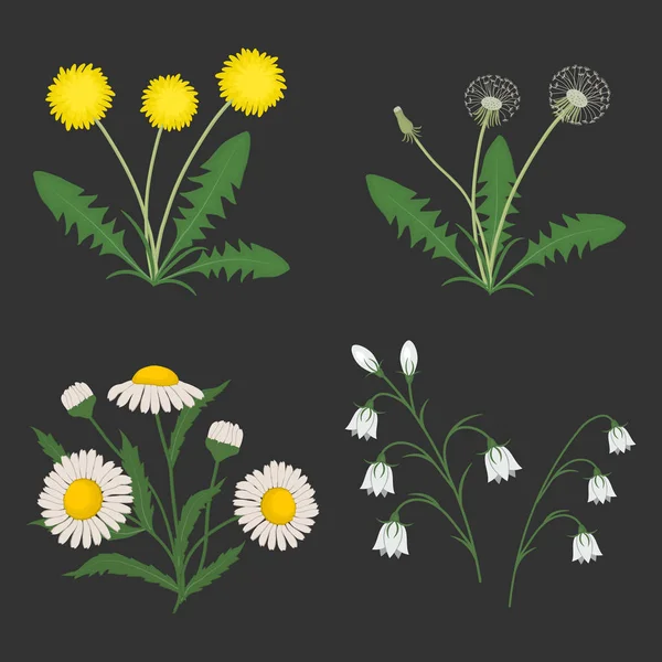 Sommerblumen Auf Dunkelgrauem Hintergrund Auf Dem Bild Sind Kamille Löwenzahn — Stockvektor