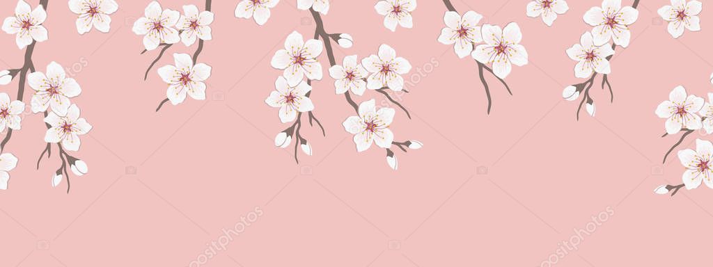 Seamless border with blossoming branches of cherry. A tree branch with white flowers and buds on a pink background. Spring floral background. Vector illustration