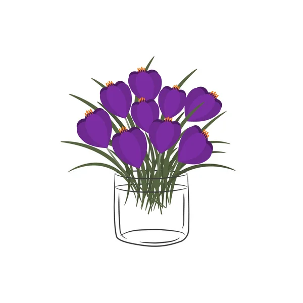 Крокуси Склянці Букет Весняних Квітів Квіткова Композиція Векторні Ілюстрації Білому — стоковий вектор
