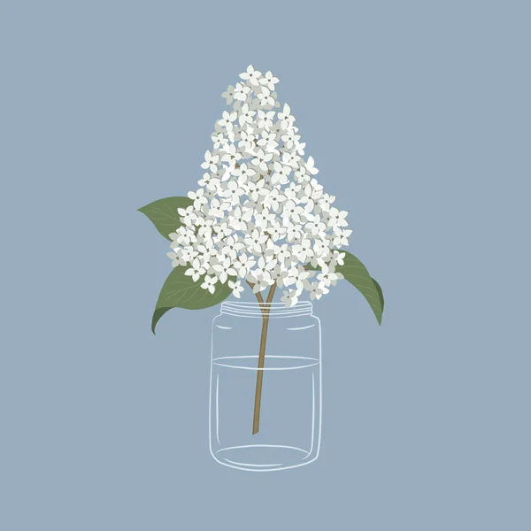 Lilas Dans Bocal Verre Fleurs Lilas Blanches Avec Des Feuilles — Image vectorielle