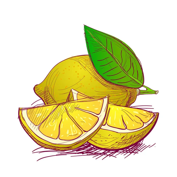 Meyve elle çizilmiş