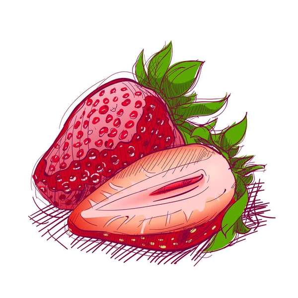 Meyve elle çizilmiş