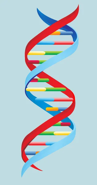 Vektorillustration. DNA — Stock vektor