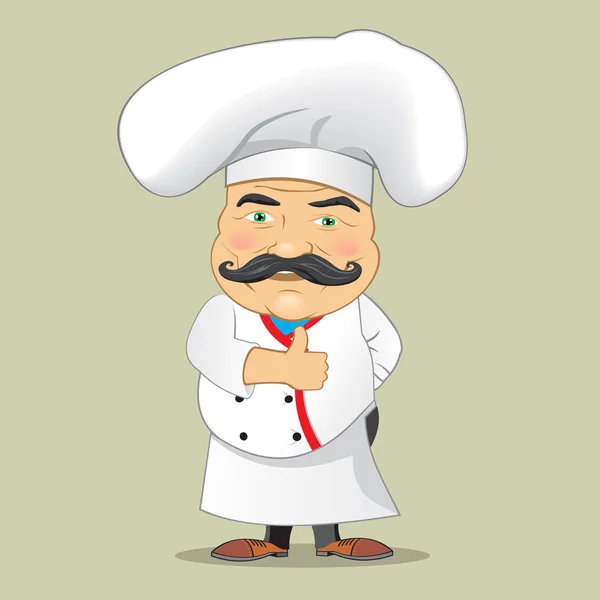 Vektor kuchař kuchař podávající jídlo realistické kreslených postav, samostatný ilustrátor vektorů — Stockový vektor