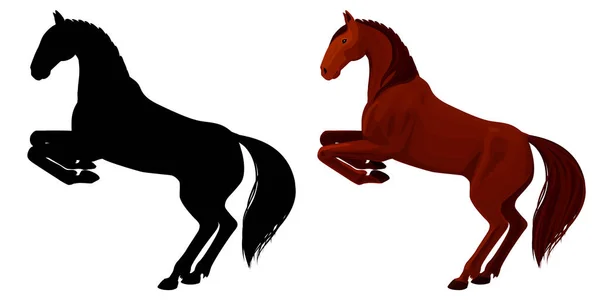 Vectorillustratie van kastanje fokken paard en haar silhouet op witte achtergrond. — Stockvector