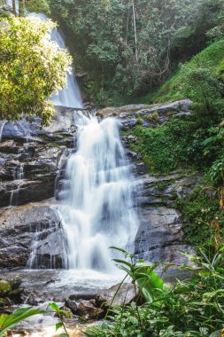 Herdem yeşil orman Doi Inthanon Milli Parkı'nda şelale