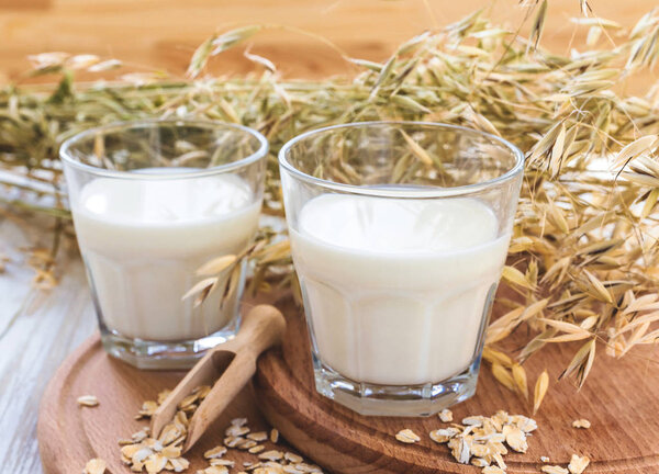 Two glasses of milk and oat spikelets on rustic table