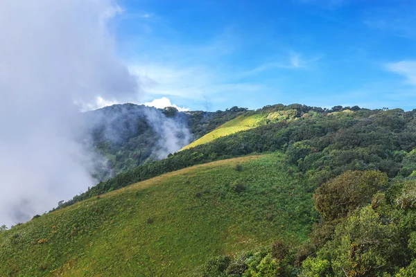 Vista de picos de montaña brumosos, bosque tropical de coníferas — Foto de Stock