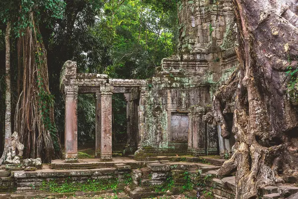 Torony, a hatalmas fák és a galériák Preah Khan templomban — Stock Fotó