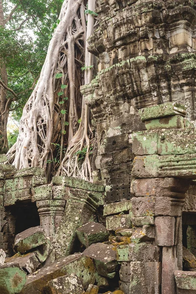 Angkor Wat, kambodzsai: Galériák és a turisták — Stock Fotó