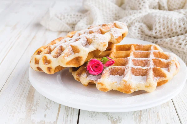 Warm knitted plaid, pink roses and Belgium waffles — Stock Photo, Image