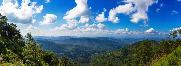 Vista de los picos de montaña, bosque tropical de coníferas. Panorama —  Fotos de Stock