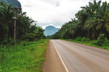 Yol yine de tropikal orman, yağmur ormanları, Krabi asfalt