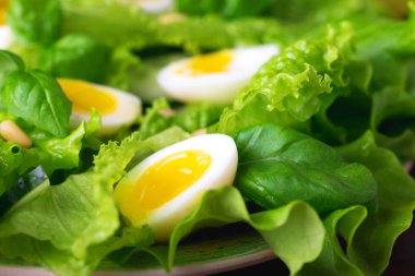 Letucce, salatalık, ıspanak, fesleğen ve Bıldırcın yumurta salatası