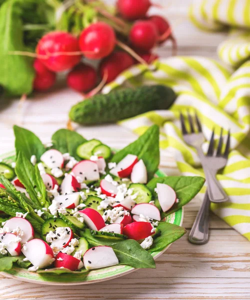 Salada com azeda, pepino, rabanete, espinafre, gergelim e queijo — Fotografia de Stock