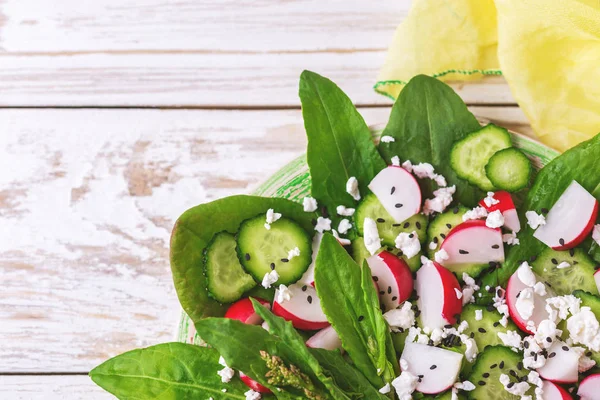 Sóska, uborka, retek, spenót, Szezám és a sajt salátával — Stock Fotó