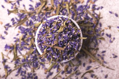 Gri arka plan üzerinde kuru lavanta çiçekleri. Üstten Görünüm