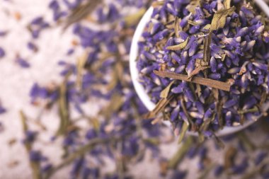 Gri arka plan üzerinde kuru lavanta çiçekleri. Üstten Görünüm