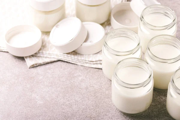 Domácí řecký jogurt a jogurt výrobce. Zdravé jídlo — Stock fotografie
