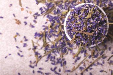 Gri arka plan üzerinde kuru lavanta çiçekleri. Üstten Görünüm