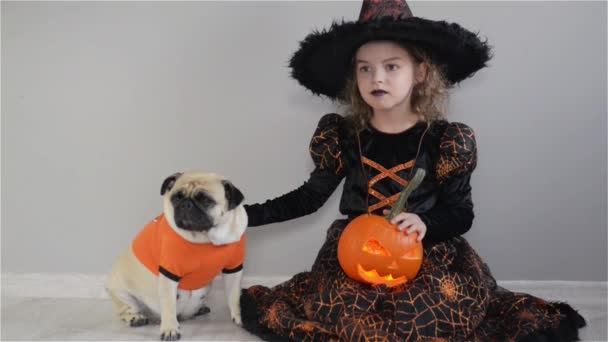 Cute girl i jej piesek są ubrani w garnitury dla Halloween. Dziecko w obrazie czarnoksiężnika siedzi na podłodze. Dynia - Halloween symbol — Wideo stockowe