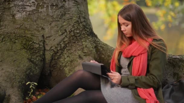 Κορίτσι όμορφο φοιτητής χρησιμοποιώντας tablet εξωτερική κάθεται πάνω σε δέντρο κοντά στη λίμνη — Αρχείο Βίντεο