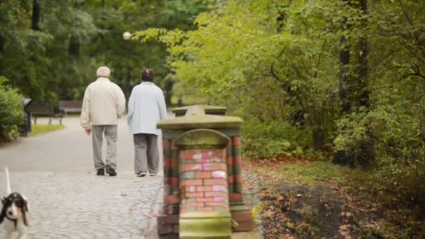 Dulce pareja mayor caminando de la mano en el parque de otoño — Vídeo de stock
