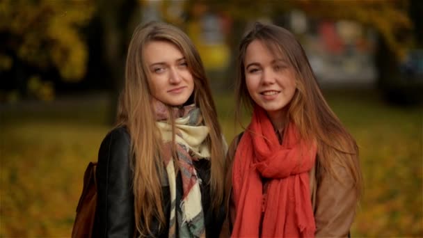 Belle ragazze con foglie autunnali in mano e autunno giallo Maple Park sfondo, fidanzate sorridenti e guardando la fotocamera — Video Stock