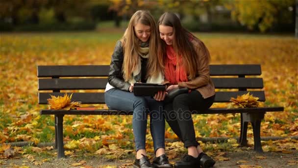 Dos graciosas chicas jóvenes y felices amigas sentadas en el banco y usando Tablet. Las mujeres riendo y jugando en la computadora de la almohadilla en el Parque de Otoño en el día soleado — Vídeos de Stock