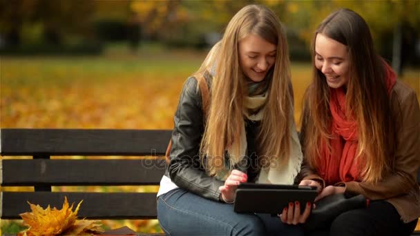 Två roliga glada unga tjejer vänner sitter på bänken och använda surfplatta. Kvinnor skrattar och spelar på Pad dator i parken hösten på soliga dag — Stockvideo