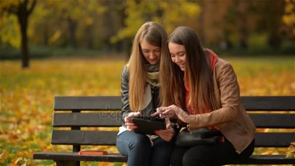 Две веселые счастливые девушки сидят на скамейке и пользуются планшетом. Женщины смеются и играют на компьютере в осеннем парке в солнечный день — стоковое видео