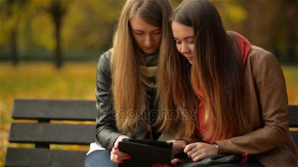 Dos graciosas chicas jóvenes y felices amigas sentadas en el banco y usando Tablet. Las mujeres riendo y jugando en la computadora de la almohadilla en el Parque de Otoño en el día soleado — Vídeos de Stock