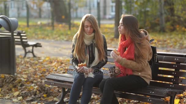 Adolescentes sonrientes disfrutando de una comida rápida y algo de bebida están sentados en el banco en el parque y hablando. Dos chicas lindas comiendo hamburguesas al aire libre durante un almuerzo en el soleado día de otoño . — Vídeos de Stock