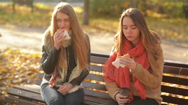 Studenti, jíst Fast Food sedí na lavičce v parku během oběda přerušit slunečný podzimní den. Dvě úžasné dívky g místě mají oběd venku. Jeden z nich kromě sendvič držící šálek kávy. — Stock video