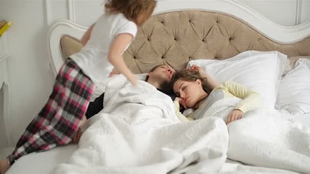 Casal jovem está dormindo juntos abraçando na cama em casa. A menina ativa está acordando seus pais adormecidos . — Vídeo de Stock