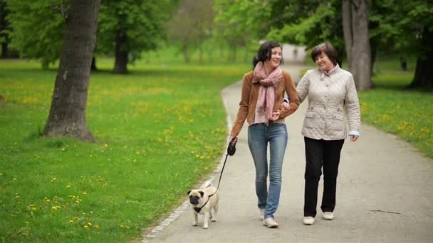 Fille adulte portant un jean et une écharpe marche avec sa mère en veste blanche. Promenade en famille avec petit chien au printemps . — Video